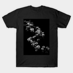 Backyard Flowers In Black And White 33 T-Shirt